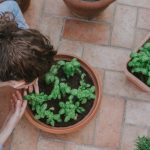 How to Store Fresh Herbs After Cutting: 5 Chef Methods